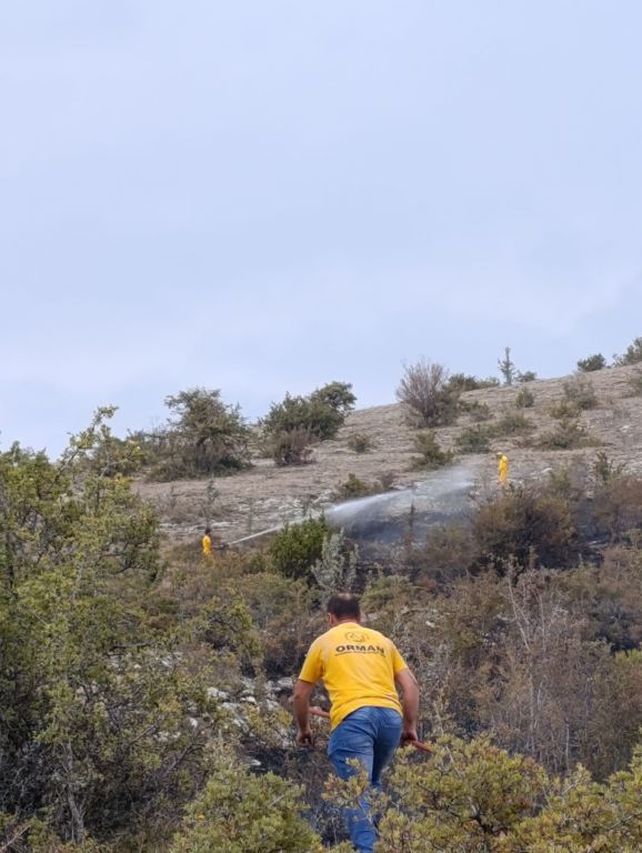 ÖRTÜ YANGINI ORMANA SIÇRAMADAN SÖNDÜRÜLDÜ