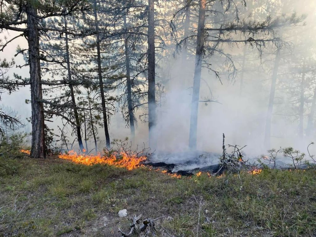ÖRTÜ YANGININDA  2 DÖNÜMLÜK ALAN KÜL OLDU