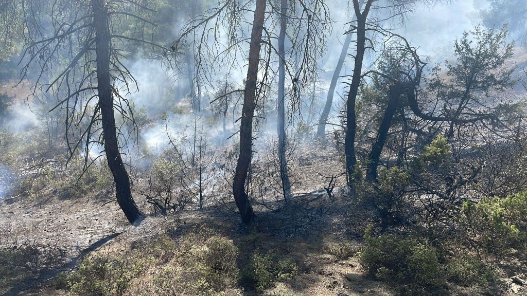 OT YANGINI ORMANA SIÇRADI, ERKEN MÜDAHALE FACİAYI ÖNLEDİ