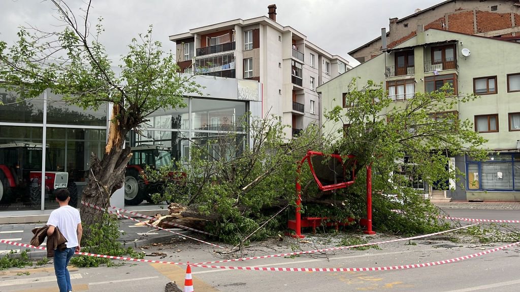 OTOBÜS DURAĞINA AĞAÇ DEVRİLDİ...DURAKTA KİMSENİN OLMAMASI FACİAYI ÖNLEDİ