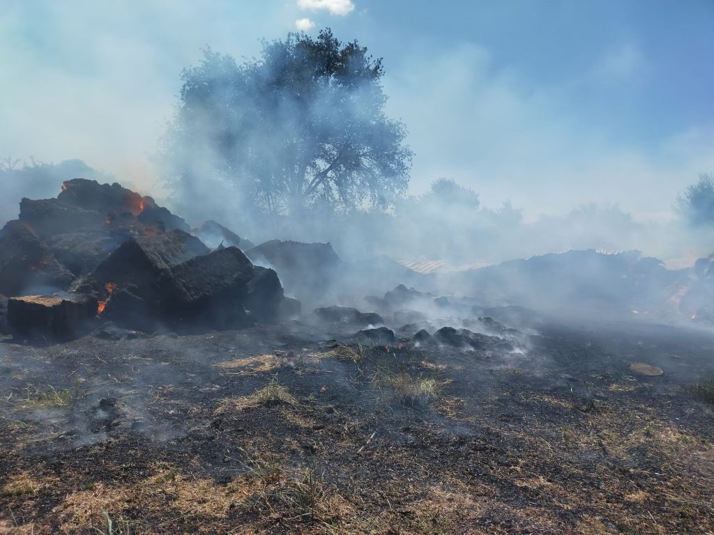 SAMANLIK ALEV ALEV YANDI