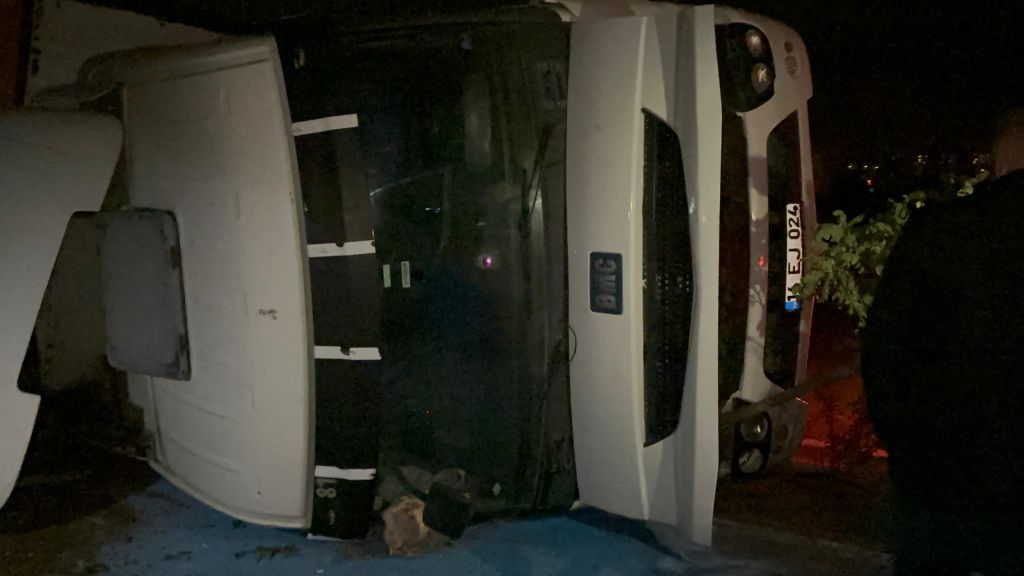 TAVUK YÜKLÜ KAMYON DEVRİLDİ: YÜZLERCE TAVUK TELEF OLDU