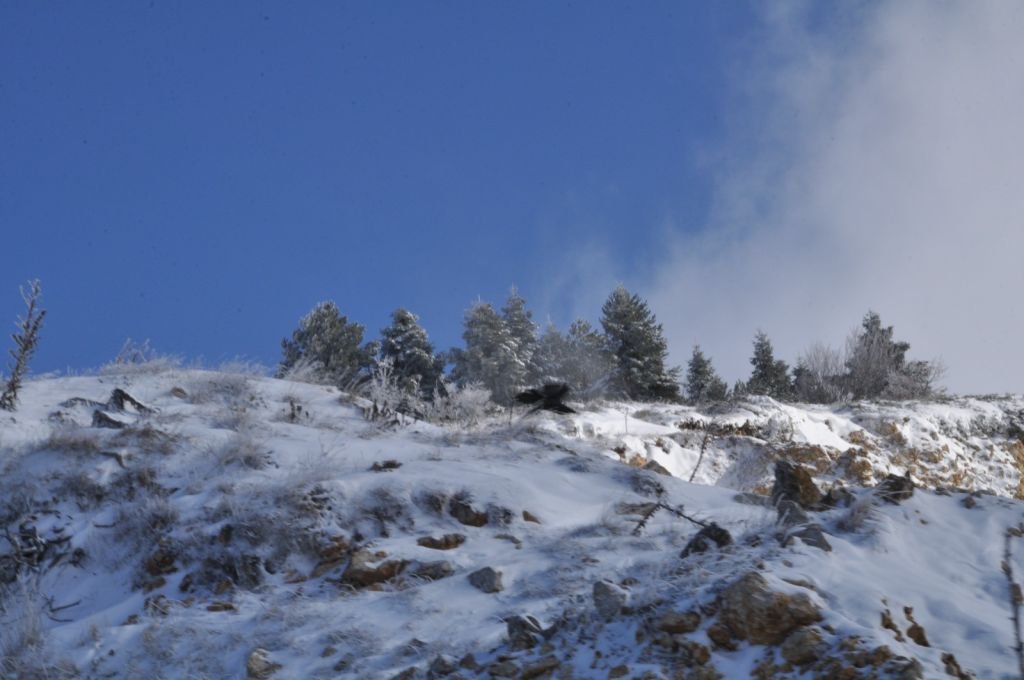 TÜRKİYE'NİN EN SOĞUK İLİ BOLU OLDU