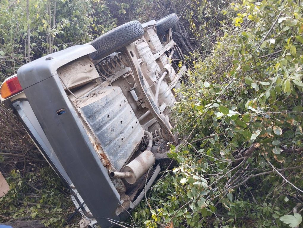 YOLDAN ÇIKAN ARAÇ AĞAÇLIK ALANA UÇTU: 1 YARALI