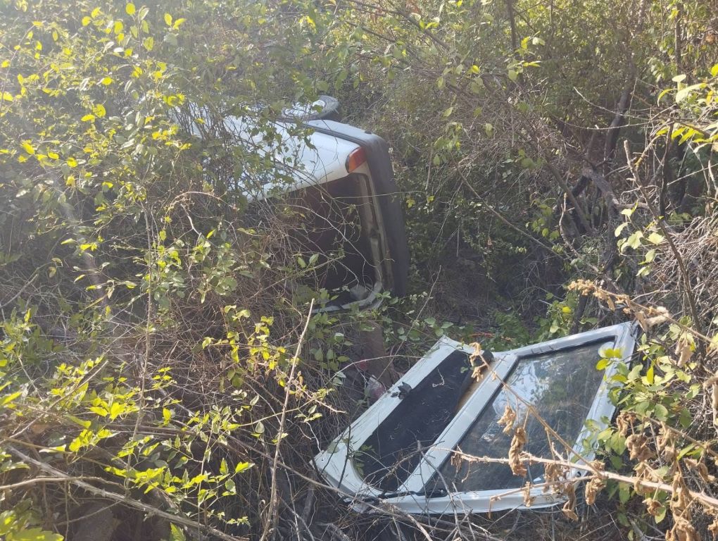 YOLDAN ÇIKAN ARAÇ AĞAÇLIK ALANA UÇTU: 1 YARALI