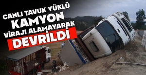 CANLI TAVUK YÜKLÜ KAMYON VİRAJI ALAMAYARAK DEVRİLDİ