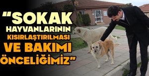 DEMİRKOL "SOKAK HAYVANLARININ KISIRLAŞTIRILMASI VE BAKIMI ÖNCELİĞİMİZ"