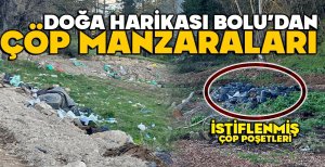 DOĞA HARİKASI BOLU’DAN ÇÖP MANZARALARI