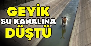 GEYİK SU KANALINA DÜŞTÜ