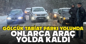 GÖLCÜK TABİAT PARKI YOLUNDA ONLARCA ARAÇ YOLDA KALDI