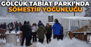 GÖLCÜK TABİAT PARKI'NDA SÖMESTİR YOĞUNLUĞU