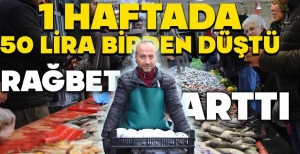 HAMSİ 1 HAFTADA 50 LİRA BİRDEN DÜŞTÜ... RAĞBET ARTTI