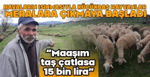 HAVALARIN ISINMASIYLA KÜÇÜKBAŞ HAYVANLAR  MERALARA ÇIKMAYA BAŞLADI