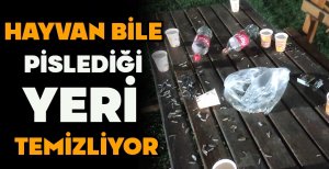 HAYVAN BİLE PİSLEDİĞİ YERİ TEMİZLİYOR