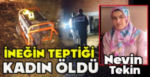 İNEĞİN TEPTİĞİ KADIN ÖLDÜ