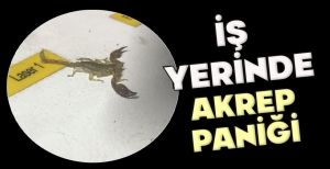 İŞ YERİNDE AKREP PANİĞİ