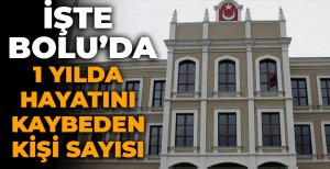 İŞTE BOLU'DA 1 YILDA HAYATINI KAYBEDEN KİŞİ SAYISI
