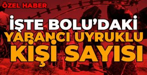 İŞTE BOLU’DAKİ YABANCI UYRUKLU SAYISI…