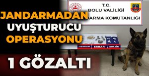 JANDARMADAN UYUŞTURUCU OPERASYONU: 1 GÖZALTI
