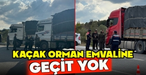 KAÇAK ORMAN EMVALİNE GEÇİT YOK