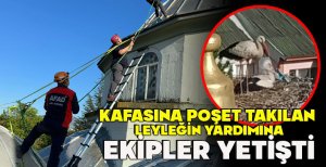 KAFASINA POŞET TAKILAN LEYLEĞİN YARDIMINA EKİPLER YETİŞTİ