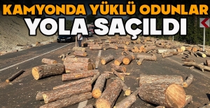 KAMYONDA YÜKLÜ ODUNLAR YOLA SAÇILDI