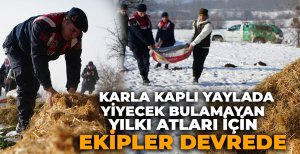 KARLA KAPLI YAYLADA YİYECEK BULAMAYAN YILKI ATLARI İÇİN EKİPLER DEVREDE