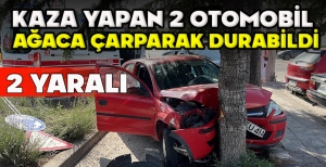 KAZA YAPAN 2 OTOMOBİL  AĞACA ÇARPARAK DURABİLDİ: 2 YARALI