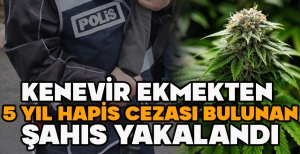 KENEVİR EKMEKTEN  5 YIL HAPİS CEZASI BULUNAN ŞAHIS YAKALANDI