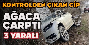 KONTROLDEN ÇIKAN CİP AĞACA ÇARPTI: 3 YARALI