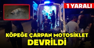 KÖPEĞE ÇARPAN MOTOSİKLET DEVRİLDİ, SÜRÜCÜ YARALANDI