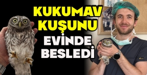 KUKUMAV KUŞUNU EVİNDE BESLEDİ