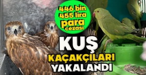 KUŞ  KAÇAKÇILARI YAKALANDI: 446 BİN 455 LİRA PARA CEZASI