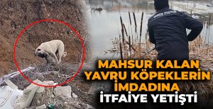 MAHSUR KALAN YAVRU KÖPEKLERİN İMDADINA İTFAİYE YETİŞTİ