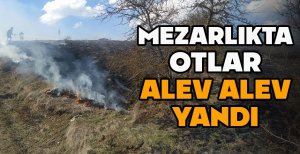 MEZARLIKTA OTLAR ALEV ALEV YANDI