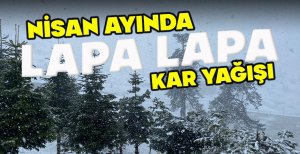 NİSAN AYINDA LAPA LAPA KAR YAĞIŞI