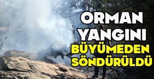 ORMAN YANGINI BÜYÜMEDEN  SÖNDÜRÜLDÜ
