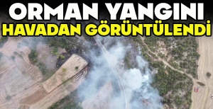 ORMAN YANGINI HAVADAN GÖRÜNTÜLENDİ