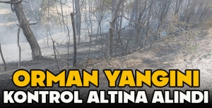 ORMAN YANGINI KONTROL ALTINA ALINDI