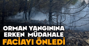 ORMAN YANGININA ERKEN  MÜDAHALE FACİAYI ÖNLEDİ