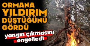 ORMANA YILDIRIM DÜŞTÜĞÜNÜ GÖRDÜ, YANGIN ÇIKMASINI ENGELLEDİ