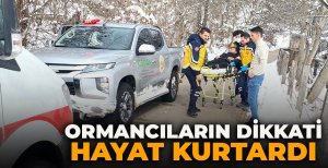 ORMANCILARIN DİKKATİ HAYAT KURTARDI