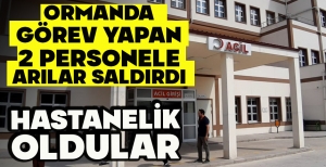 ORMANDA GÖREV YAPAN 2 PERSONELE ARILAR SALDIRDI: HASTANELİK OLDULAR