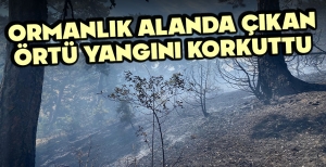 ORMANLIK ALANDA ÇIKAN ÖRTÜ YANGINI KORKUTTU