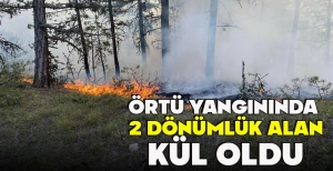ÖRTÜ YANGININDA  2 DÖNÜMLÜK ALAN KÜL OLDU