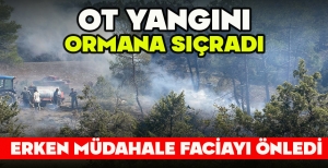 OT YANGINI ORMANA SIÇRADI, ERKEN MÜDAHALE FACİAYI ÖNLEDİ