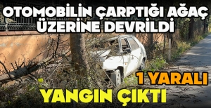 OTOMOBİLİN ÇARPTIĞI AĞAÇ ÜZERİNE DEVRİLDİ, YANGIN ÇIKTI: 1 YARALI