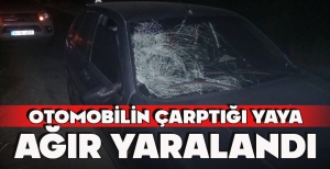 OTOMOBİLİN ÇARPTIĞI YAYA  AĞIR YARALANDI
