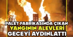 PALET FABRİKASINDA ÇIKAN  YANGININ ALEVLERİ GECEYİ AYDINLATTI