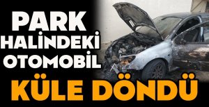 PARK HALİNDEKİ OTOMOBİL KÜLE DÖNDÜ